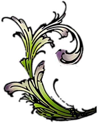unnamed image