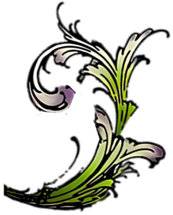 unnamed image